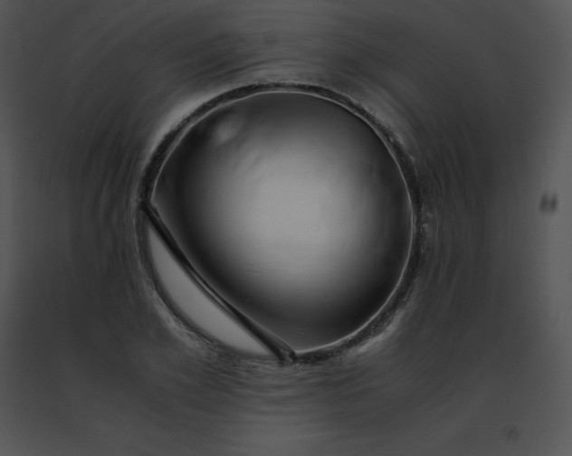 X0000091490981200708301932