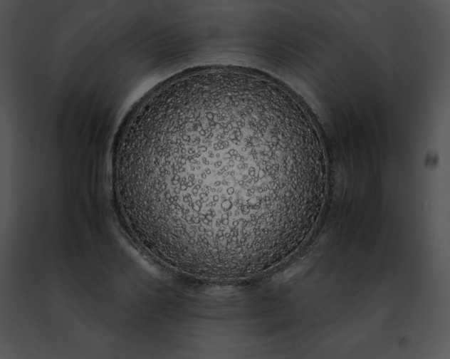 X0000091490982200708301932