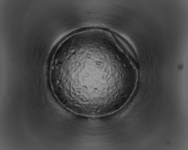 X0000091490983200708301932