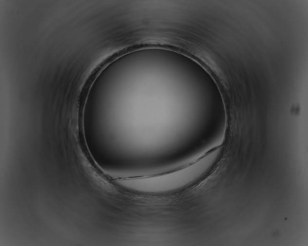 X0000091490984200708301932