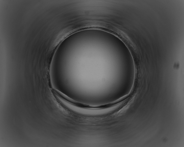 X0000091490985200708301932