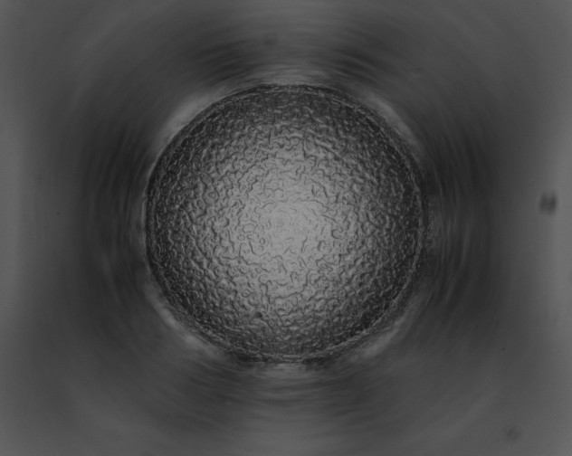 X0000091490986200708301932