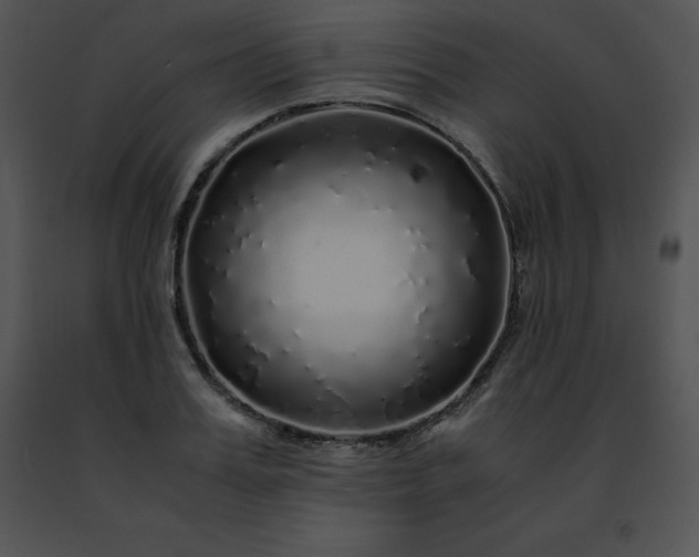 X0000091490987200708301932