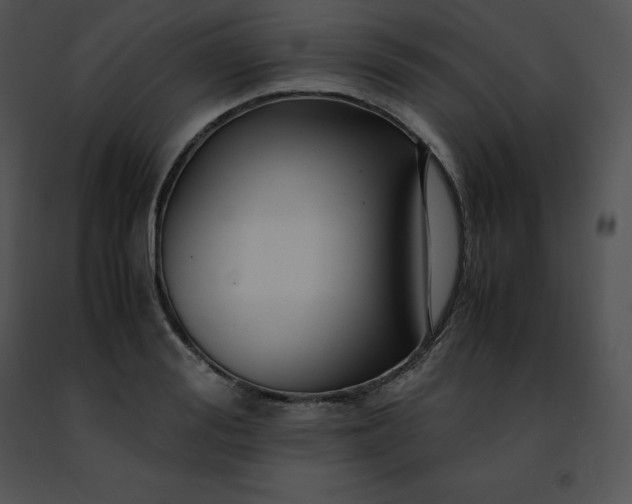 X0000091490988200708301932