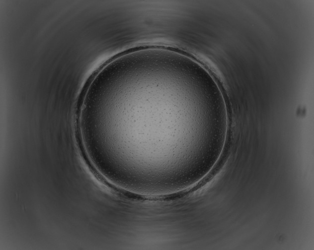 X0000091490989200708301932