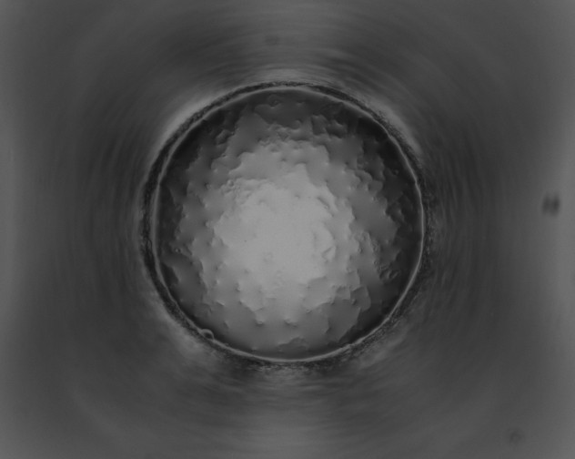 X0000091490991200708301932