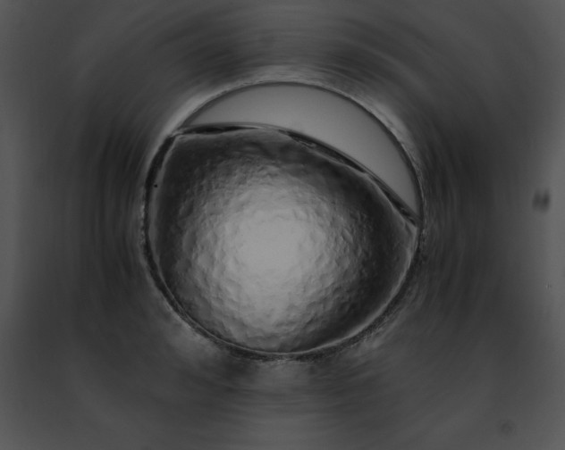 X0000091490992200708301932