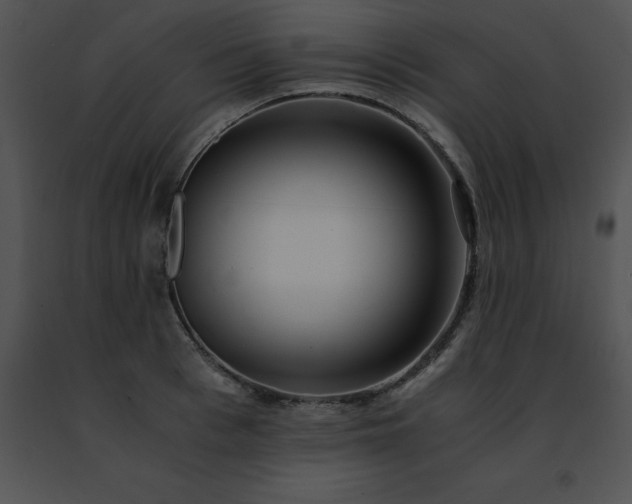 X0000091490993200708301932