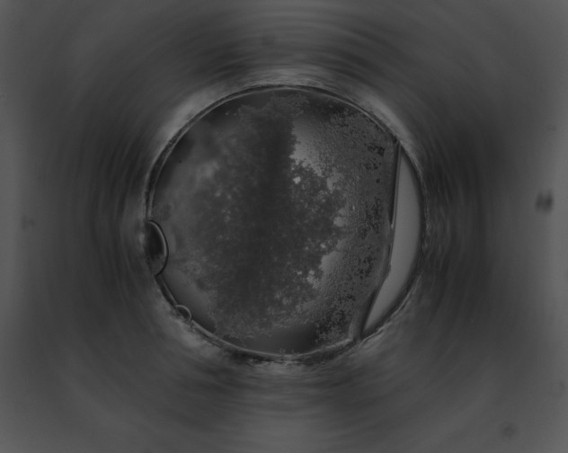 X0000091490994200708301932