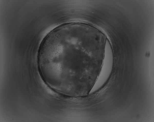 X0000091490995200708301932