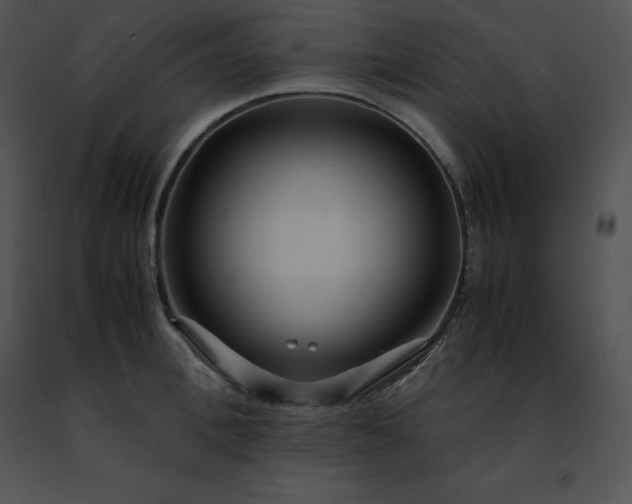 X0000091490996200708301932