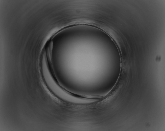 X0000091490997200708301932