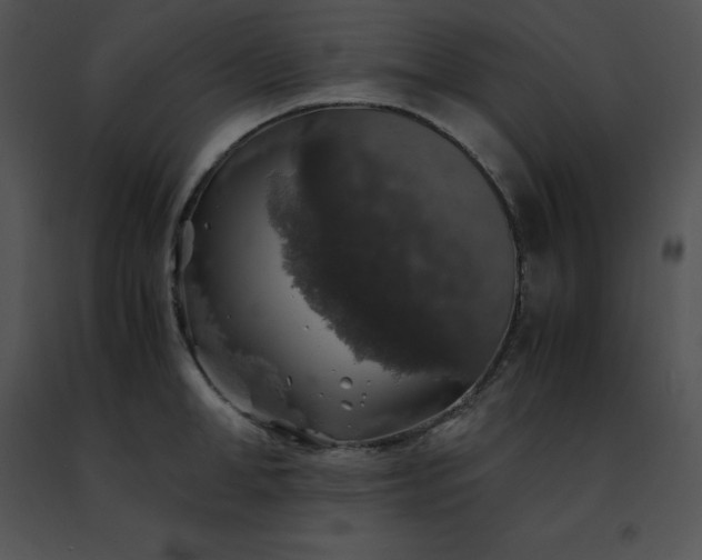 X0000091490998200708301932