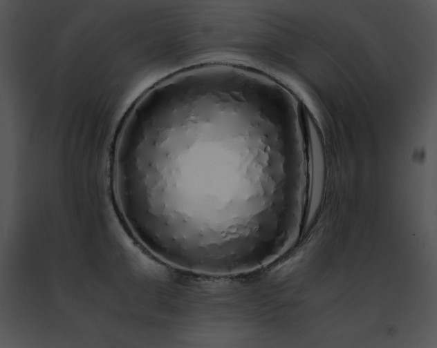 X0000091490999200708301932