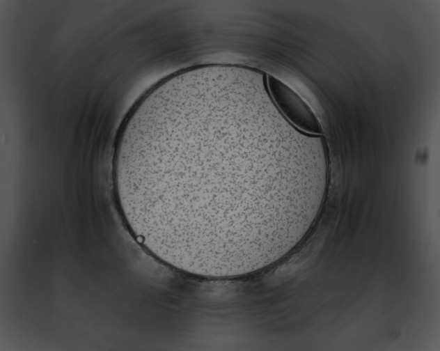 X0000091491000200708301932