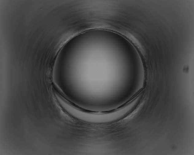 X0000091491001200708301932