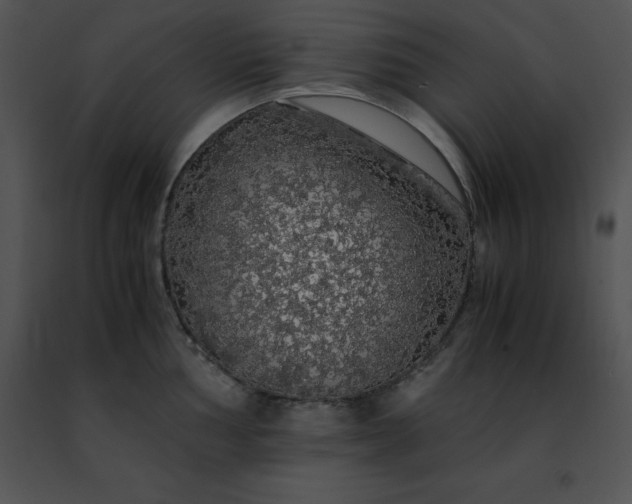 X0000091491002200708301932