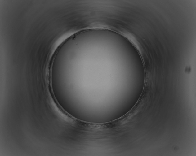 X0000091491003200708301932