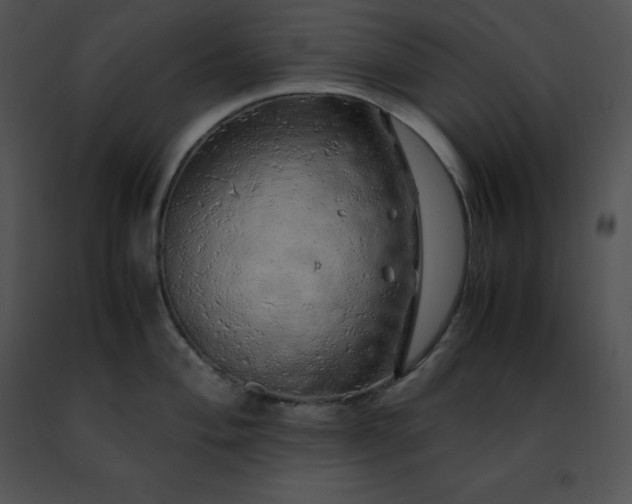 X0000091491004200708301932