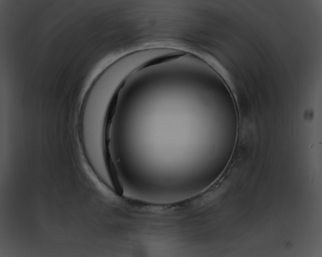 X0000091491005200708301932