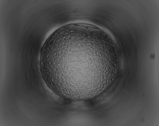 X0000091491006200708301932