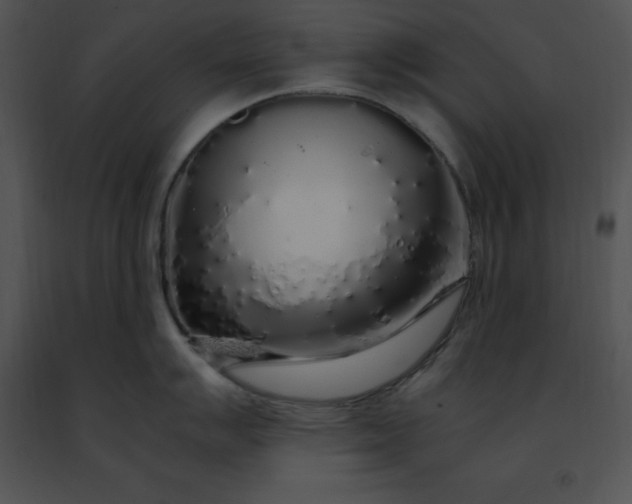 X0000091491007200708301932