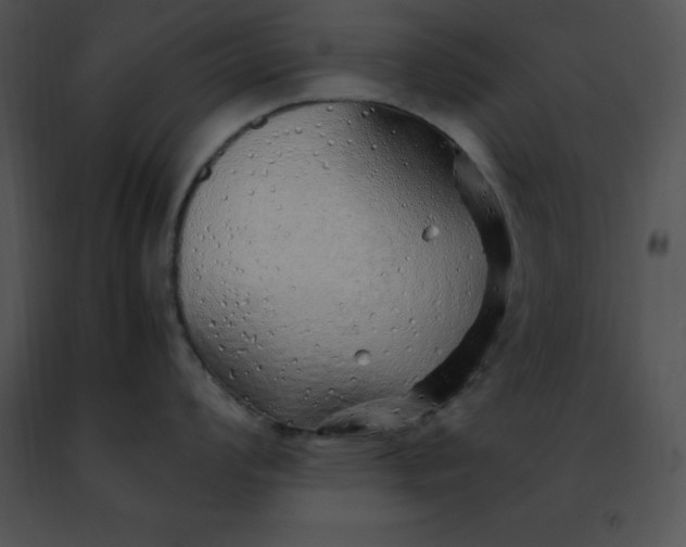 X0000091491008200708301932