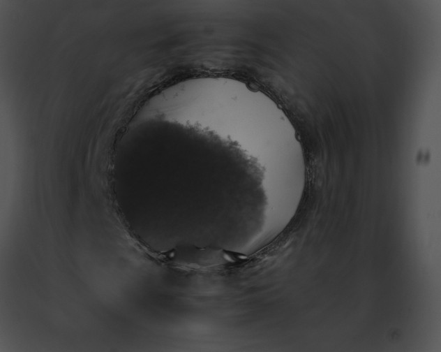 X0000091491009200708301931