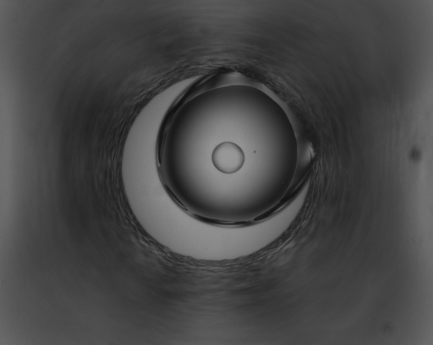 X0000091491010200708301931