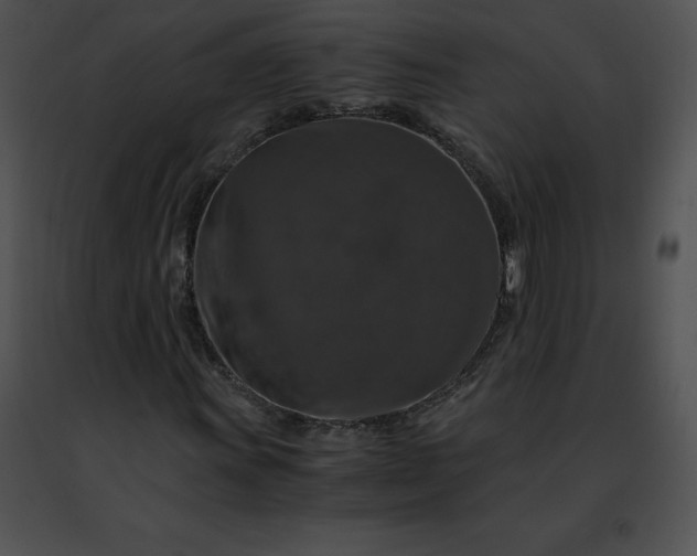 X0000091491011200708301931