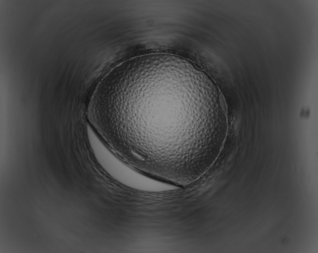 X0000091491012200708301931