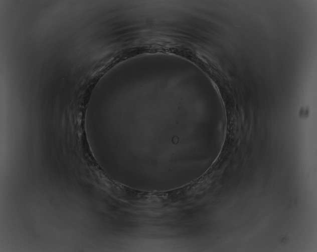 X0000091491013200708301931