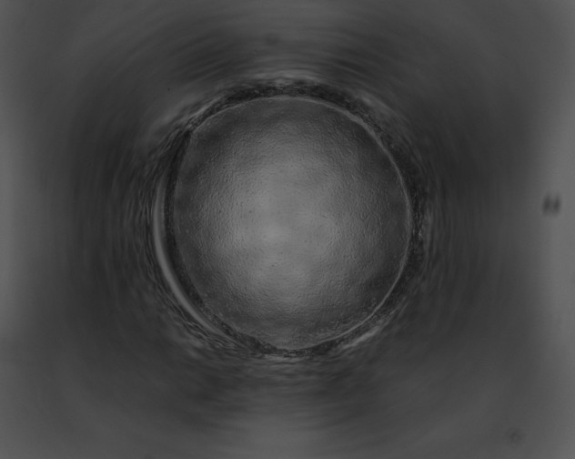 X0000091491014200708301931