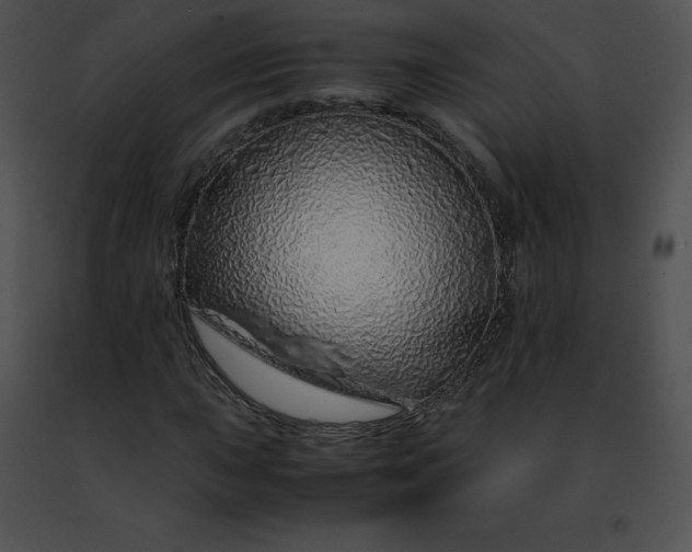 X0000091491015200708301931