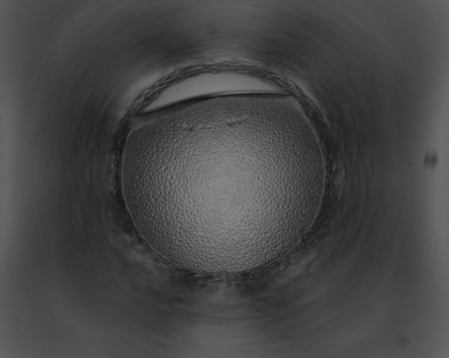 X0000091491016200708301931