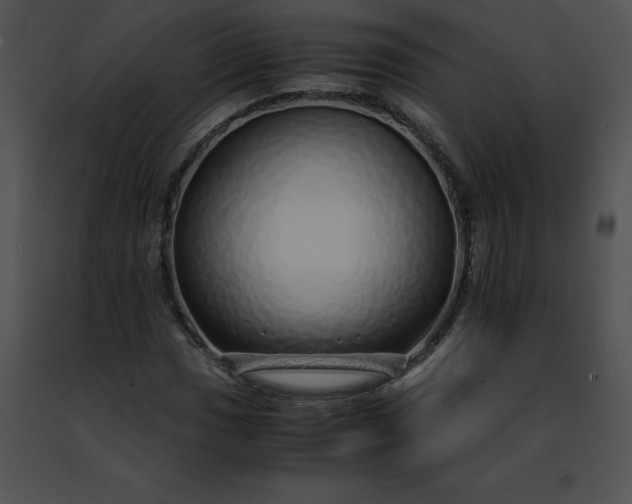 X0000091491017200708301931