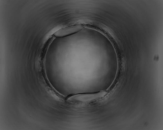 X0000091491018200708301931