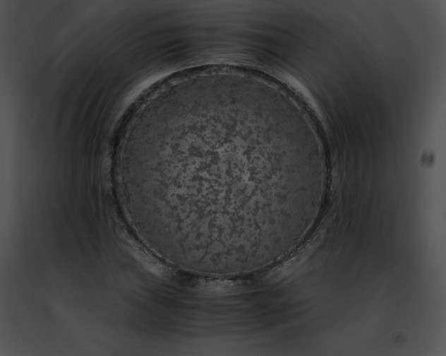 X0000091491019200708301931