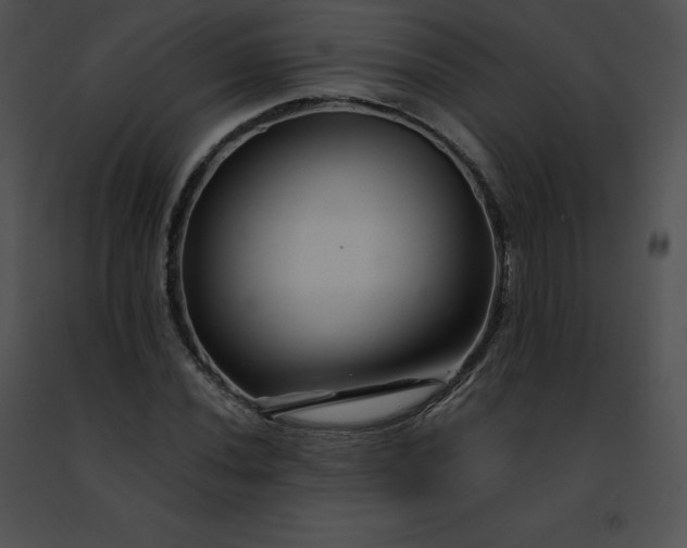 X0000091491020200708301931