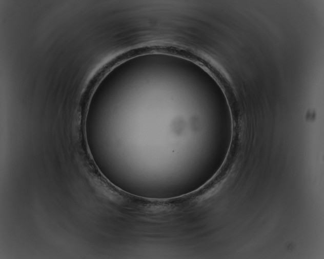 X0000091491021200708301931