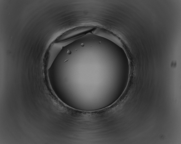 X0000091491022200708301931