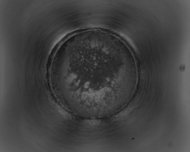 X0000091491023200708301931