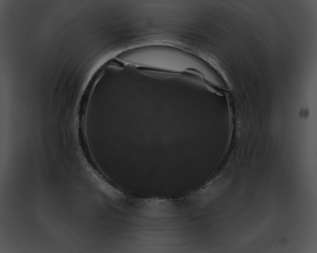 X0000091491024200708301931