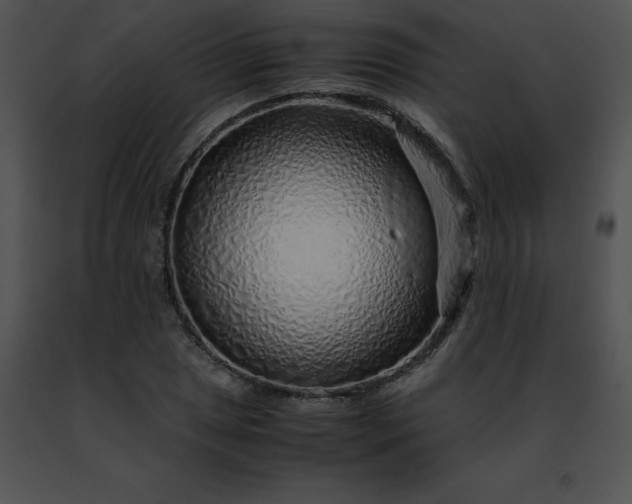 X0000091491025200708301931