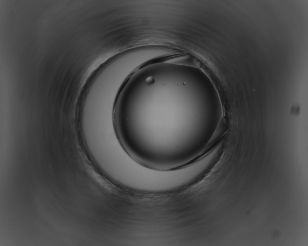 X0000091491026200708301931