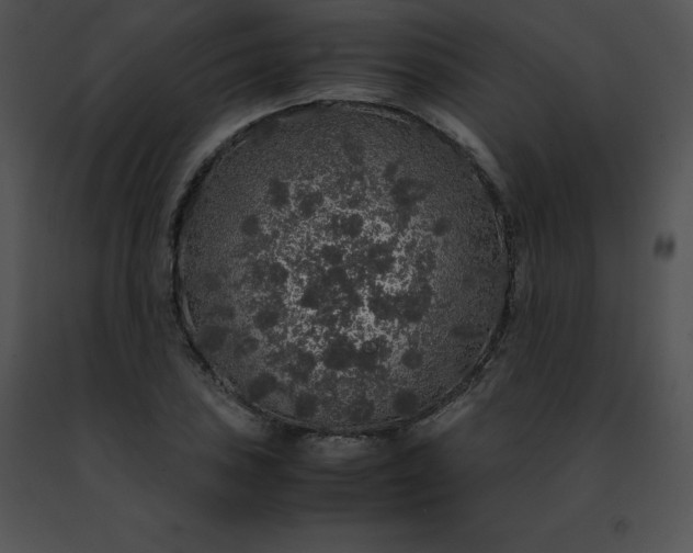 X0000091491027200708301931