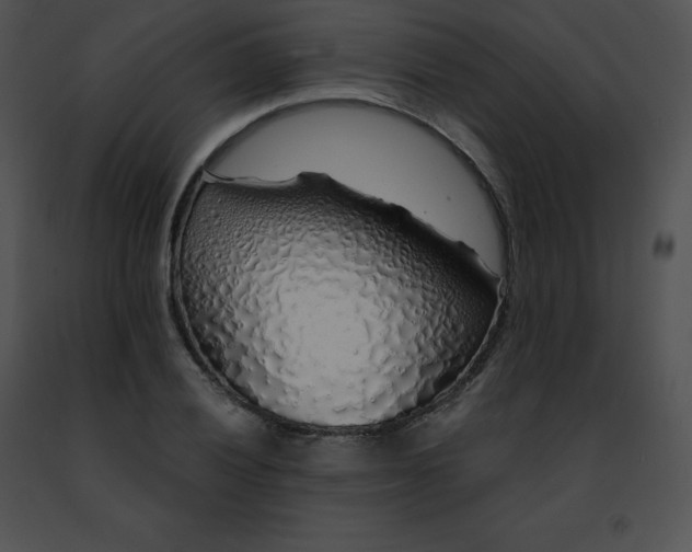 X0000091491028200708301931