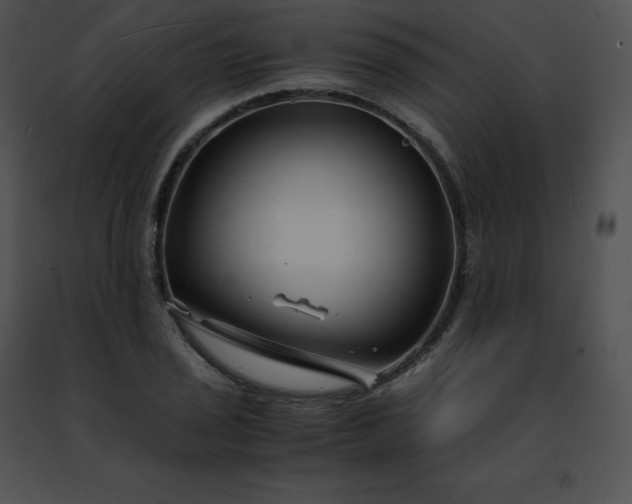 X0000091491029200708301931