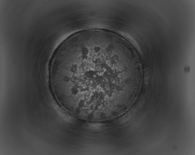 X0000091491031200708301931