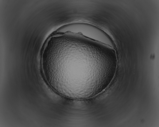 X0000091491032200708301931